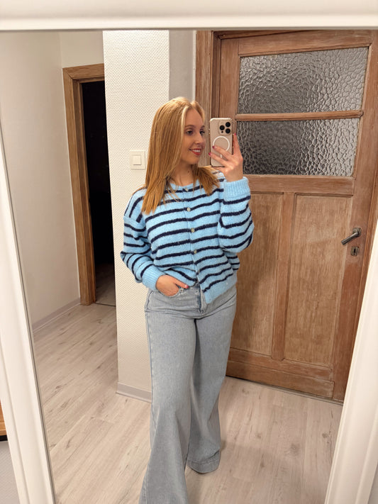 Hemelsblauw gestreept vestje met knopen